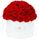  Mila-Roses-01567 Mila Classique Large Dome Blanc Classique - Rouge Amour