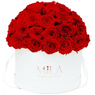 Produit Mila-Roses-01567 Mila Classique Large Dome Blanc Classique - Rouge Amour