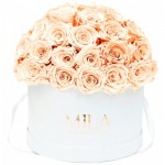  Mila-Roses-01568 Mila Classique Large Dome Blanc Classique - Pure Peach