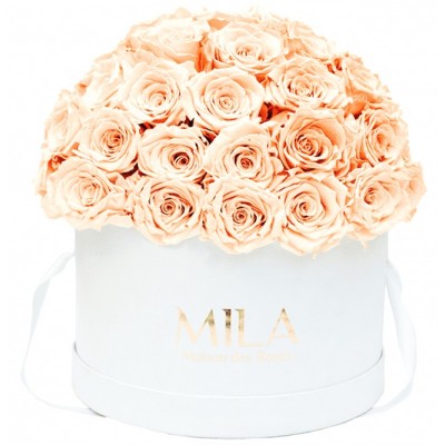 Produit Mila-Roses-01568 Mila Classique Large Dome Blanc Classique - Pure Peach