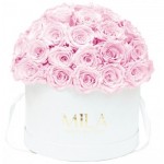  Mila-Roses-01569 Mila Classique Large Dome Blanc Classique - Pink Blush