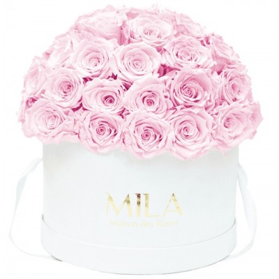 Produit Mila-Roses-01569 Mila Classique Large Dome Blanc Classique - Pink Blush