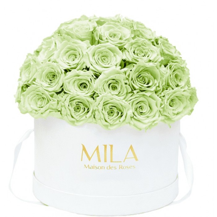 Mila Classique Large Dome Blanc Classique - Mint
