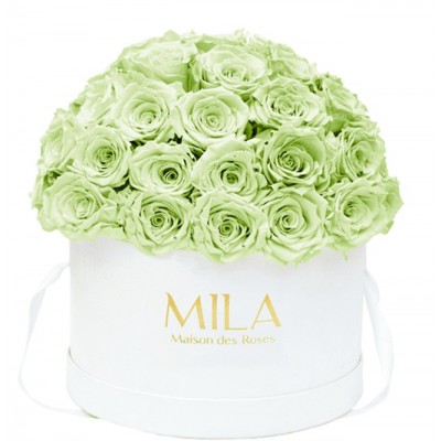 Produit Mila-Roses-01574 Mila Classique Large Dome Blanc Classique - Mint