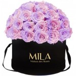  Mila-Roses-01576 Mila Classique Large Dome Noir Classique - Vintage rose