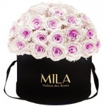  Mila-Roses-01577 Mila Classique Large Dome Noir Classique - Pink bottom