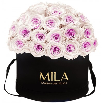 Produit Mila-Roses-01577 Mila Classique Large Dome Noir Classique - Pink bottom
