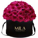  Mila-Roses-01579 Mila Classique Large Dome Noir Classique - Fuchsia