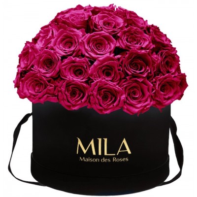 Produit Mila-Roses-01579 Mila Classique Large Dome Noir Classique - Fuchsia