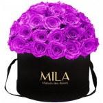  Mila-Roses-01581 Mila Classique Large Dome Noir Classique - Violin