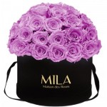  Mila-Roses-01582 Mila Classique Large Dome Noir Classique - Mauve