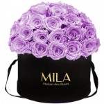  Mila-Roses-01583 Mila Classique Large Dome Noir Classique - Lavender