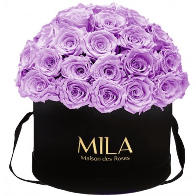 Produit Mila-Roses-01583 Mila Classique Large Dome Noir Classique - Lavender