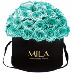  Mila-Roses-01585 Mila Classique Large Dome Noir Classique - Aquamarine