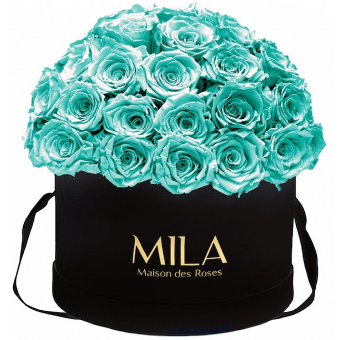 Mila Classique Large Dome Noir Classique - Aquamarine