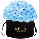  Mila-Roses-01586 Mila Classique Large Dome Noir Classique - Baby blue