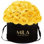  Mila-Roses-01587 Mila Classique Large Dome Noir Classique - Yellow Sunshine