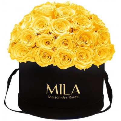 Produit Mila-Roses-01587 Mila Classique Large Dome Noir Classique - Yellow Sunshine