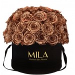  Mila-Roses-01588 Mila Classique Large Dome Noir Classique - Metallic Copper