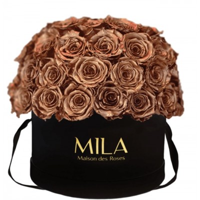 Produit Mila-Roses-01588 Mila Classique Large Dome Noir Classique - Metallic Copper