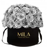  Mila-Roses-01589 Mila Classique Large Dome Noir Classique - Metallic Silver
