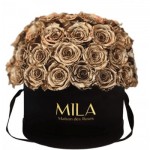  Mila-Roses-01590 Mila Classique Large Dome Noir Classique - Metallic Gold