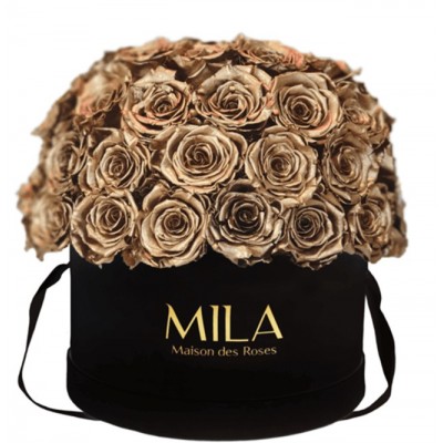 Produit Mila-Roses-01590 Mila Classique Large Dome Noir Classique - Metallic Gold