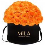  Mila-Roses-01592 Mila Classique Large Dome Noir Classique - Orange Bloom