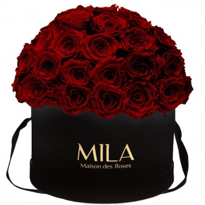 Produit Mila-Roses-01593 Mila Classique Large Dome Noir Classique - Rubis Rouge