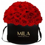 Mila-Roses-01594 Mila Classique Large Dome Noir Classique - Rouge Amour