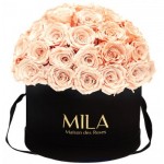  Mila-Roses-01595 Mila Classique Large Dome Noir Classique - Pure Peach