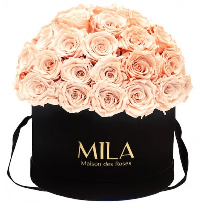 Produit Mila-Roses-01595 Mila Classique Large Dome Noir Classique - Pure Peach