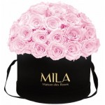  Mila-Roses-01596 Mila Classique Large Dome Noir Classique - Pink Blush