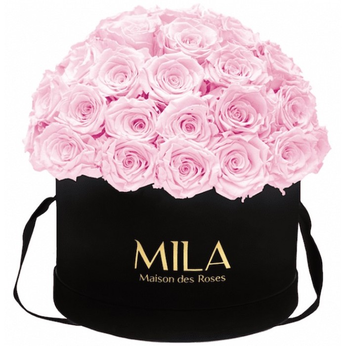 Mila Classique Large Dome Noir Classique - Pink Blush