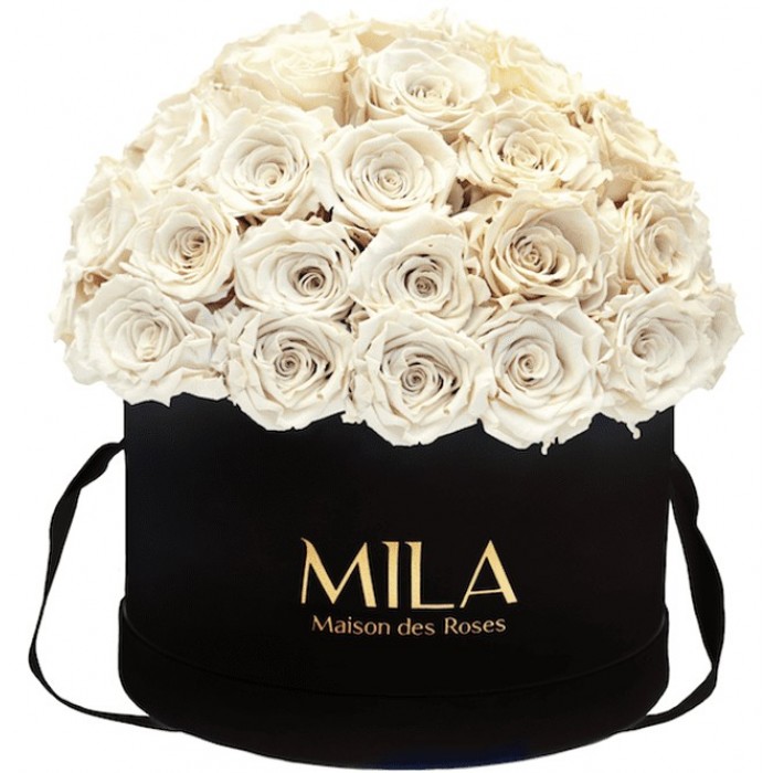 Mila Classique Large Dome Noir Classique - White Cream