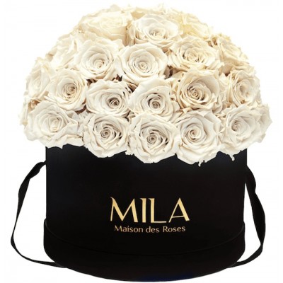 Produit Mila-Roses-01599 Mila Classique Large Dome Noir Classique - White Cream