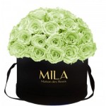  Mila-Roses-01601 Mila Classique Large Dome Noir Classique - Mint