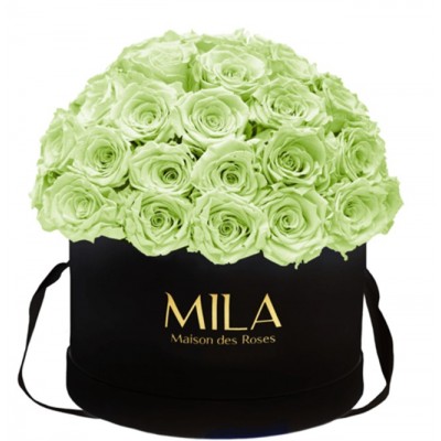 Produit Mila-Roses-01601 Mila Classique Large Dome Noir Classique - Mint