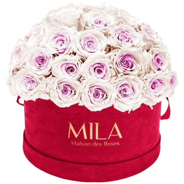 Mila Classique Large Dome Burgundy - Pink bottom