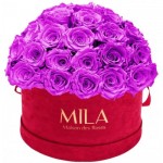  Mila-Roses-01608 Mila Classique Large Dome Burgundy - Violin