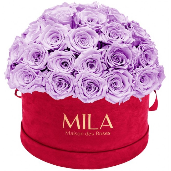 Mila Classique Large Dome Burgundy - Lavender