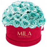  Mila-Roses-01612 Mila Classique Large Dome Burgundy - Aquamarine