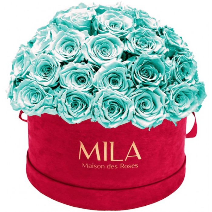 Mila Classique Large Dome Burgundy - Aquamarine