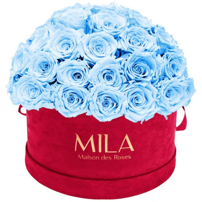 Mila Classique Large Dome Burgundy - Baby blue