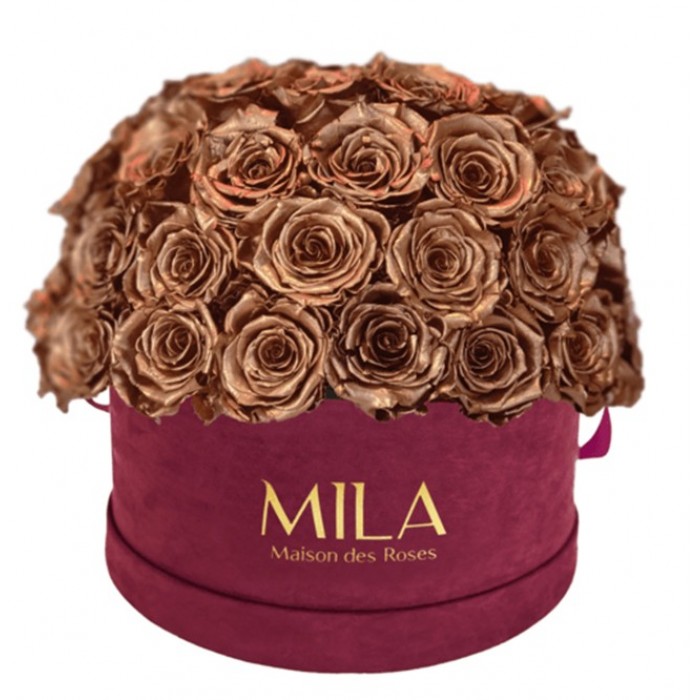 Mila Classique Large Dome Burgundy - Metallic Copper