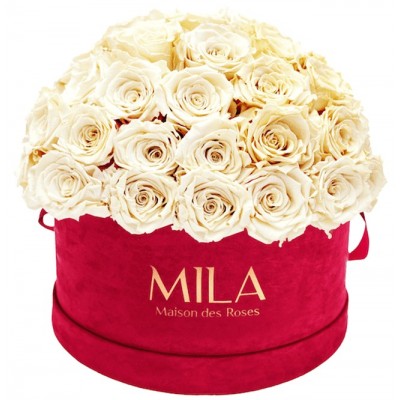 Produit Mila-Roses-01618 Mila Classique Large Dome Burgundy - Champagne