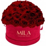  Mila-Roses-01620 Mila Classique Large Dome Burgundy - Rubis Rouge