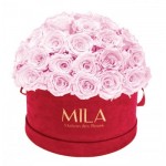  Mila-Roses-01623 Mila Classique Large Dome Burgundy - Pink Blush