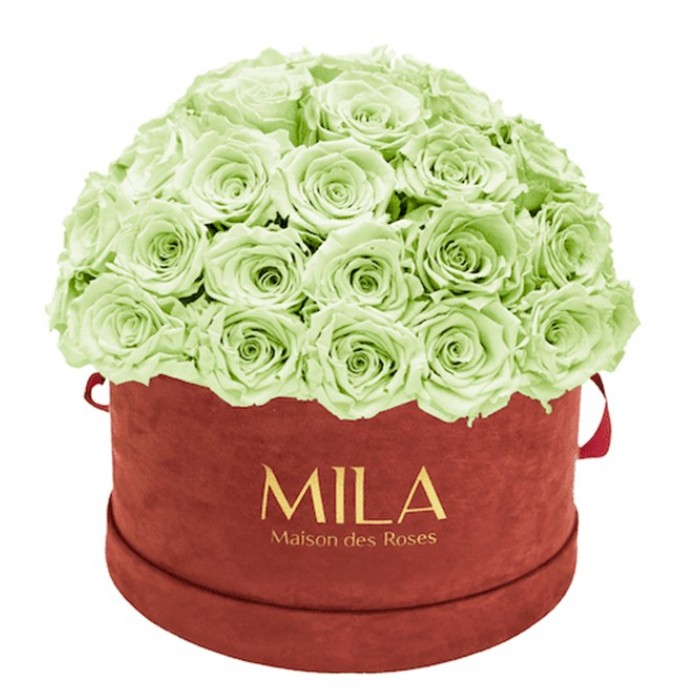 Mila Classique Large Dome Burgundy - Mint