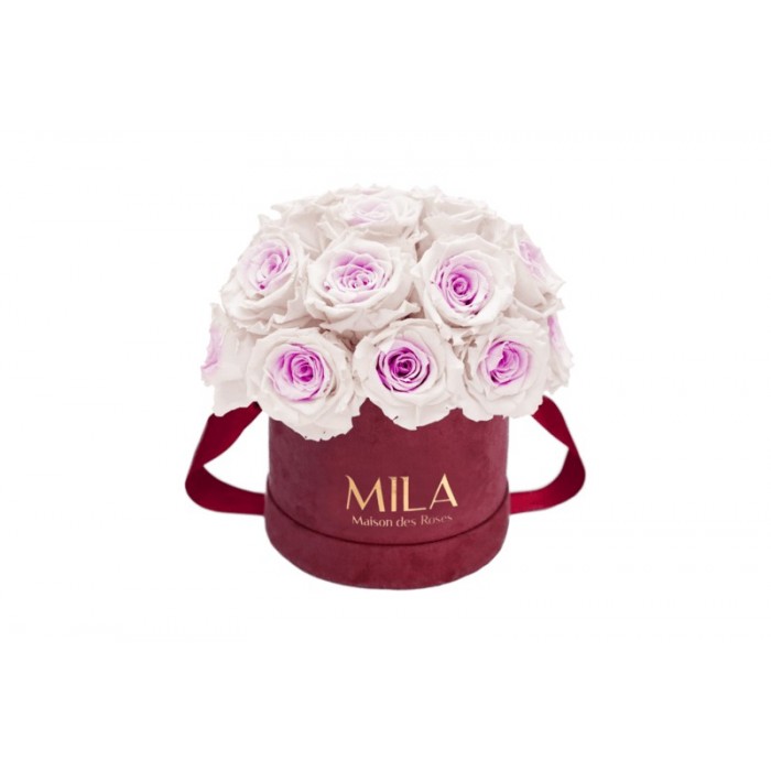 Mila Classique Small Dome Burgundy - Pink bottom